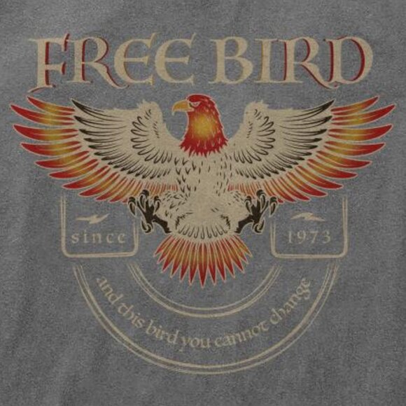 Retro Old School Band Shirt Unisex, Free Bird Shirt, Comfort Colors Band T-Shirt - Picture 3 of 4